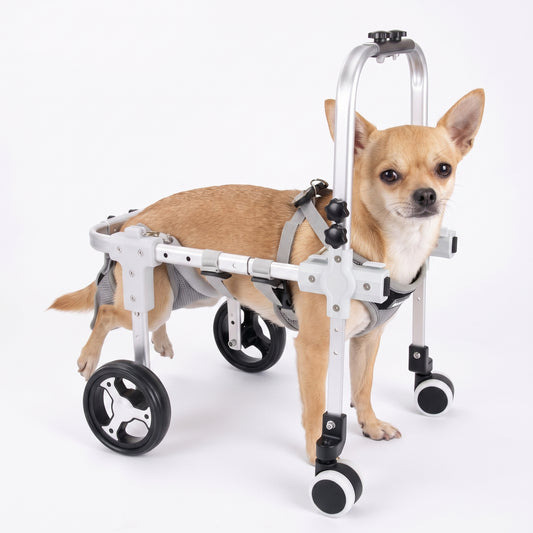 Four-Wheel Full-Support Dog Wheelchair