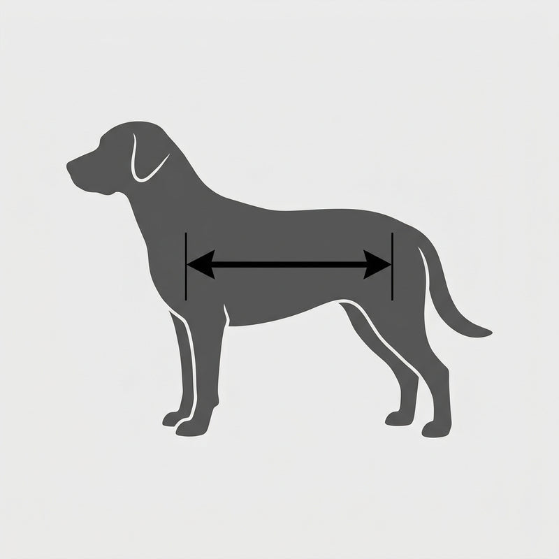 Length: armpit to rump