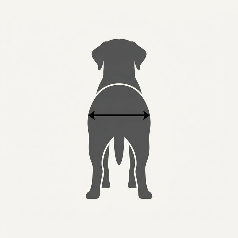 Width across the hips