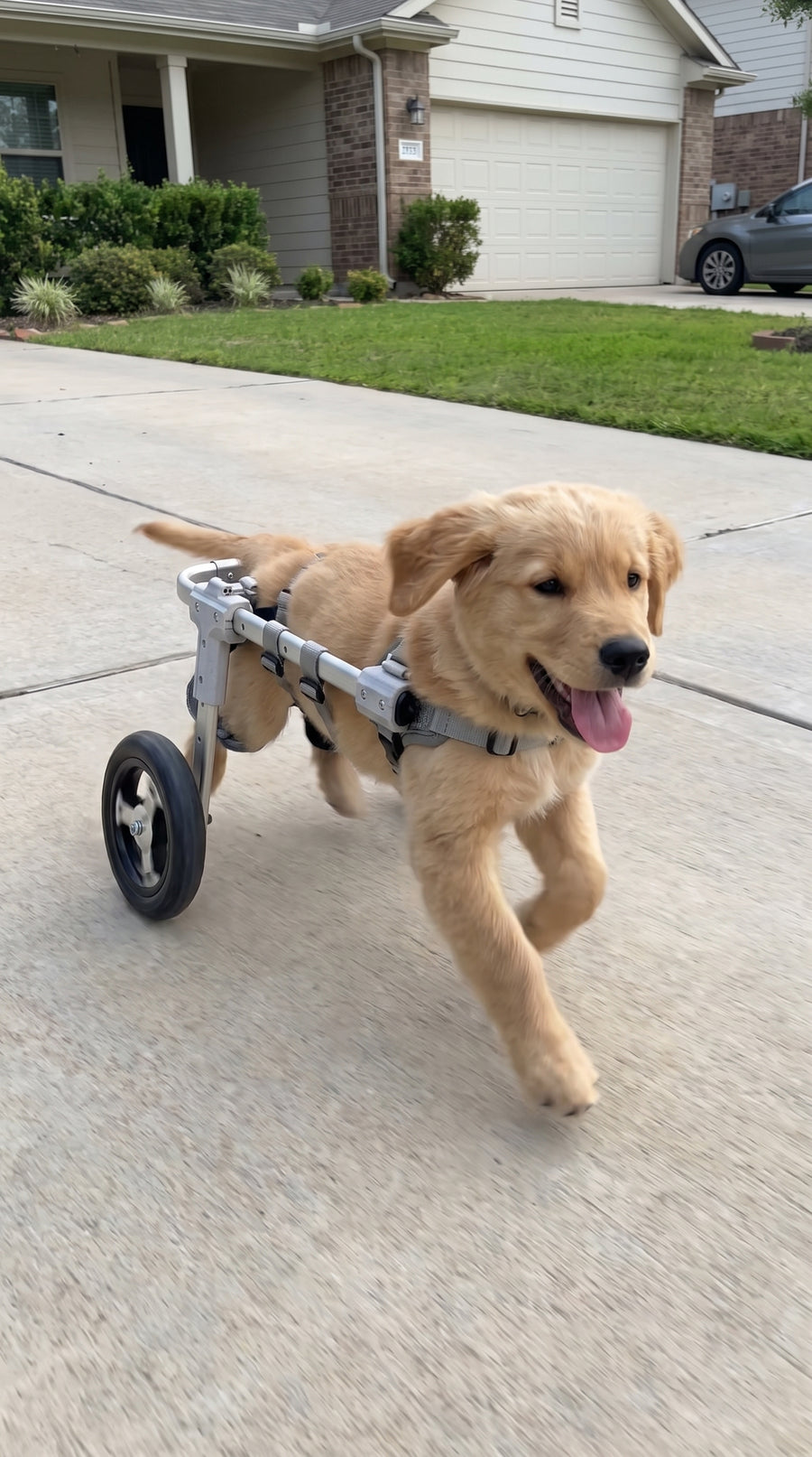 “Walking again changed everything.”