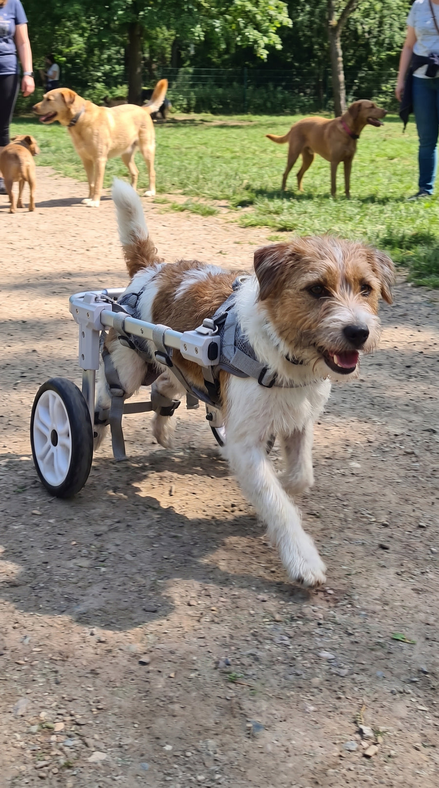 "He’s zooming everywhere again!"