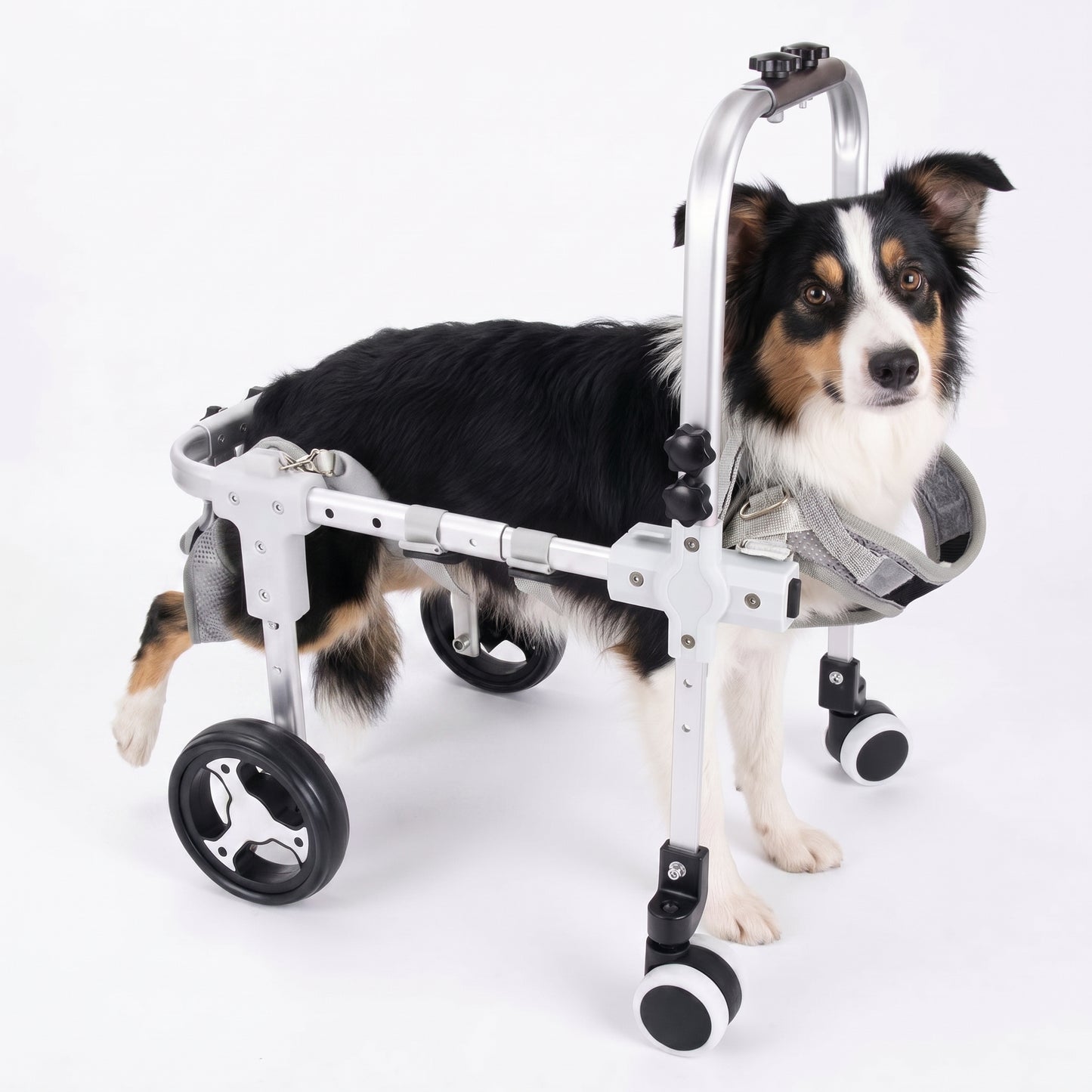 Four-Wheel Full-Support Dog Wheelchair