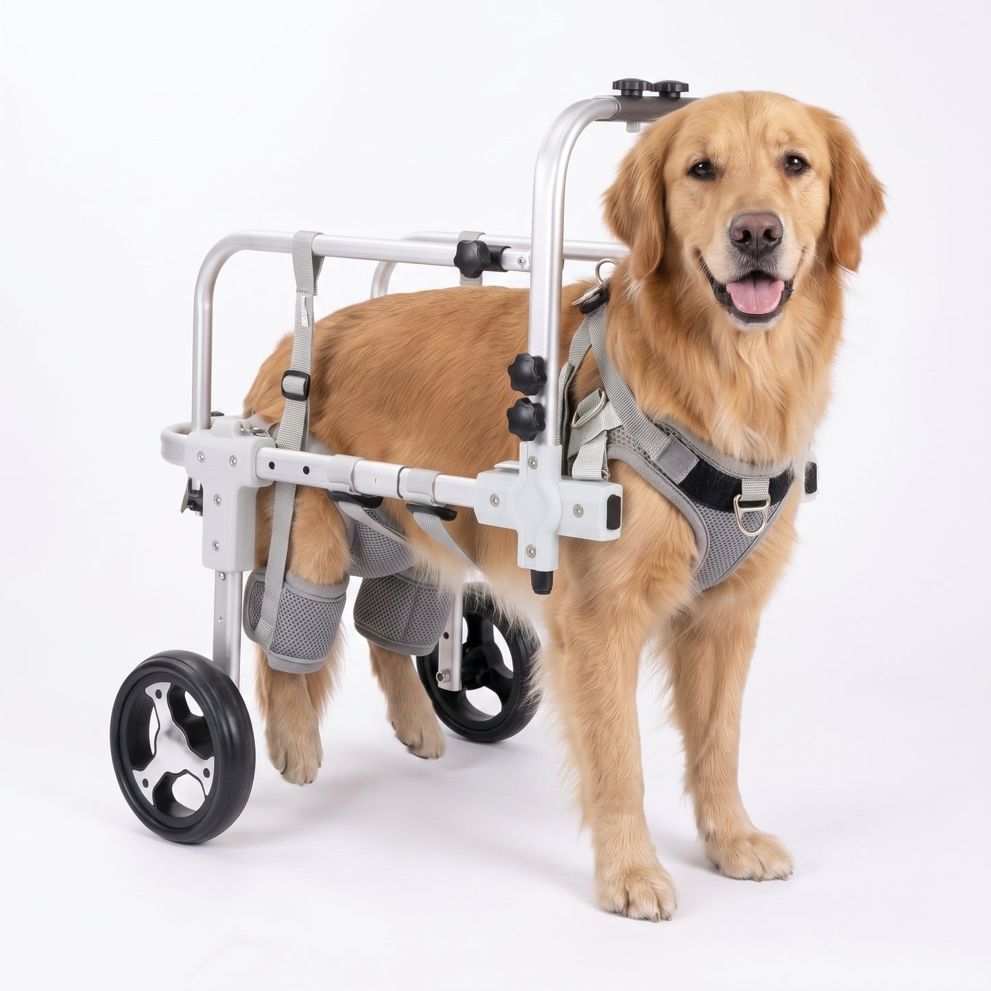 Four-Wheel Full-Support Dog Wheelchair