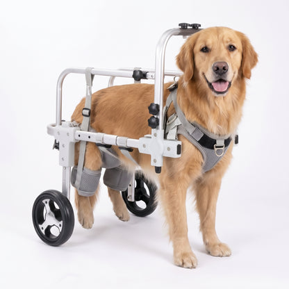 Four-Wheel Full-Support Dog Wheelchair