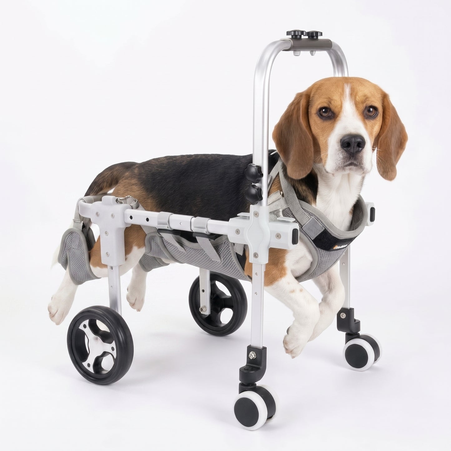 Four-Wheel Full-Support Dog Wheelchair