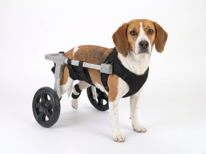 Rear-Wheel Dog Wheelchair