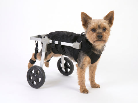 Rear-Wheel Dog Wheelchair